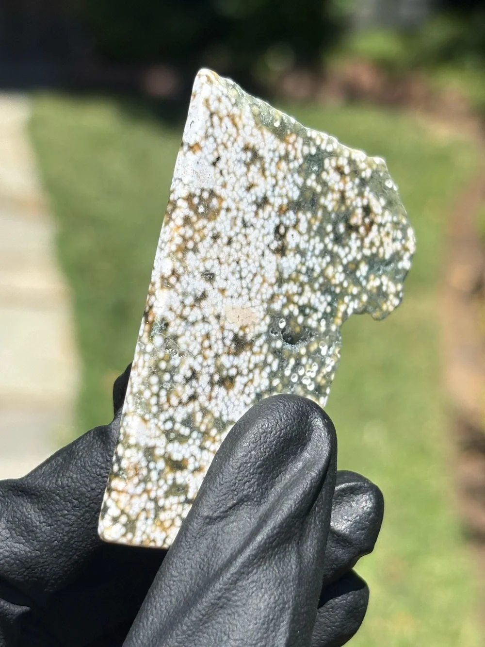Ocean Jasper Crystal Slab - Orbicular Jasper - Polished Sea Jasper